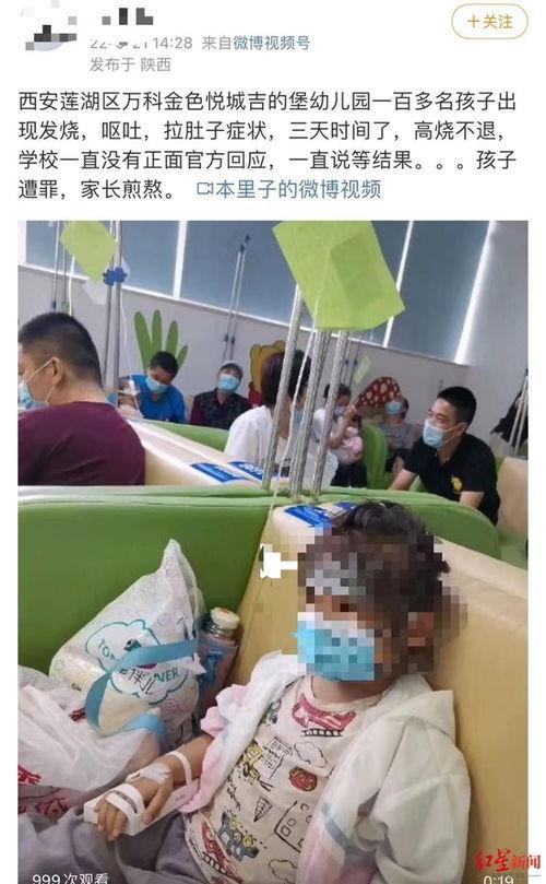 爆料美国幼儿园事件视频,惊人一幕引发社会关注